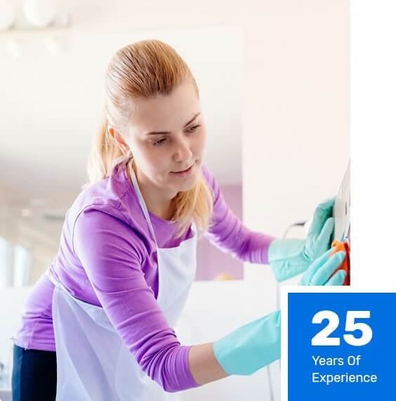 Professional Cleaning